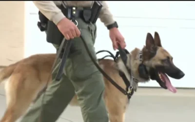 Still-missing Poway teen had ghost-gun assault rifle, body armor: Deputies