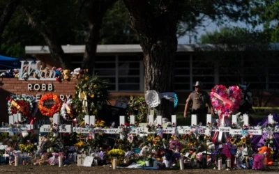 The Trace: Trump Has Slashed Federal Funding for Gun Violence Prevention. But How Much Exactly?